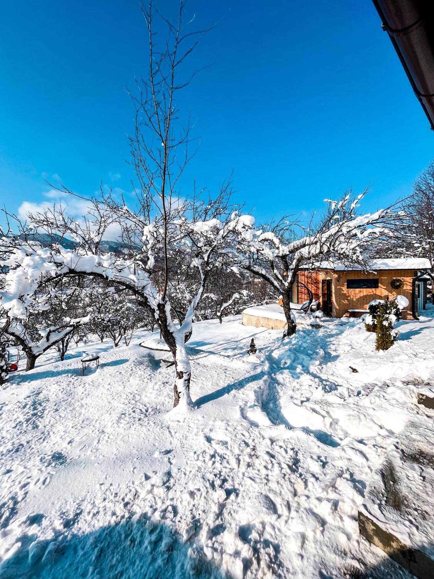 Elysian Fields - The Island Tiny House Bed & Breakfast Sadu Eksteriør bilde